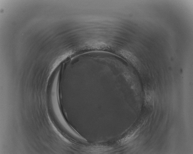 X0000062850630200601201704