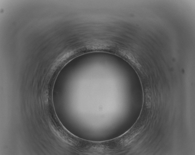 X0000062850631200601201704