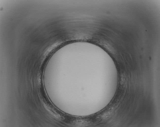 X0000062850632200601201704