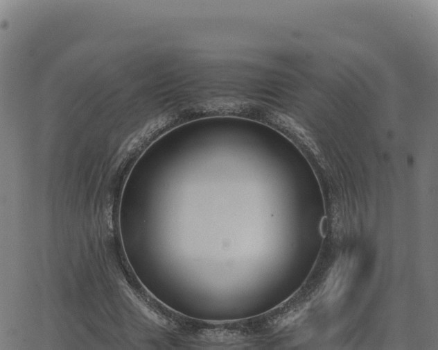 X0000062850633200601201704