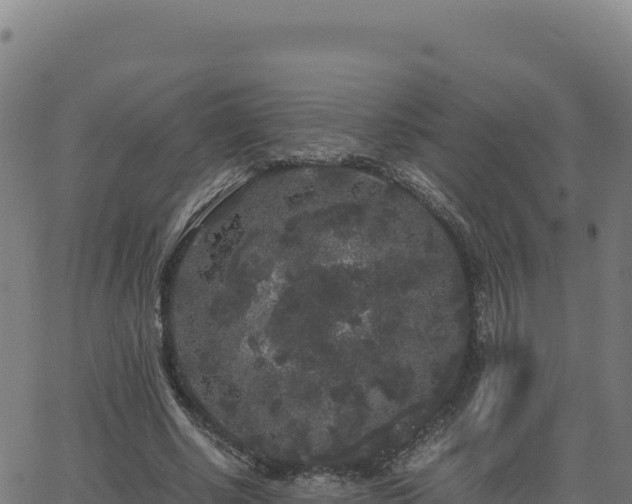 X0000062850634200601201704