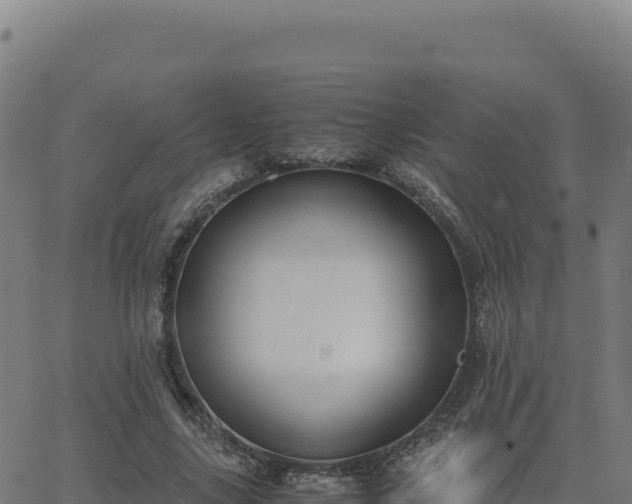 X0000062850635200601201704