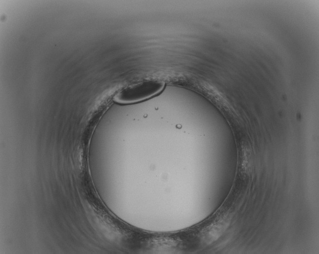 X0000062850636200601201704