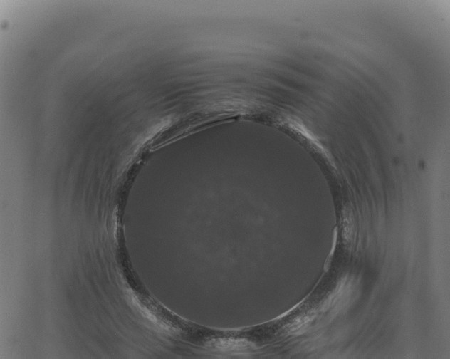 X0000062850637200601201704