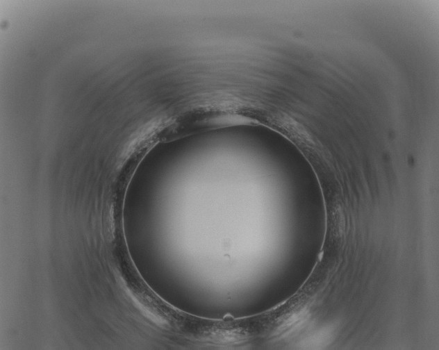 X0000062850638200601201704