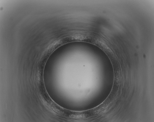 X0000062850639200601201704