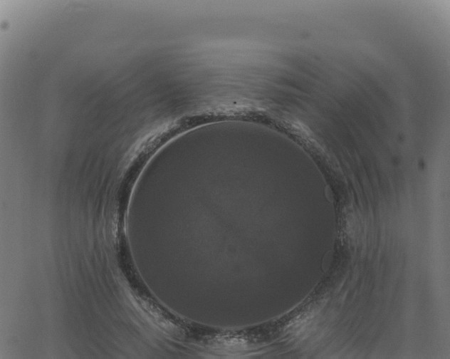 X0000062850640200601201704