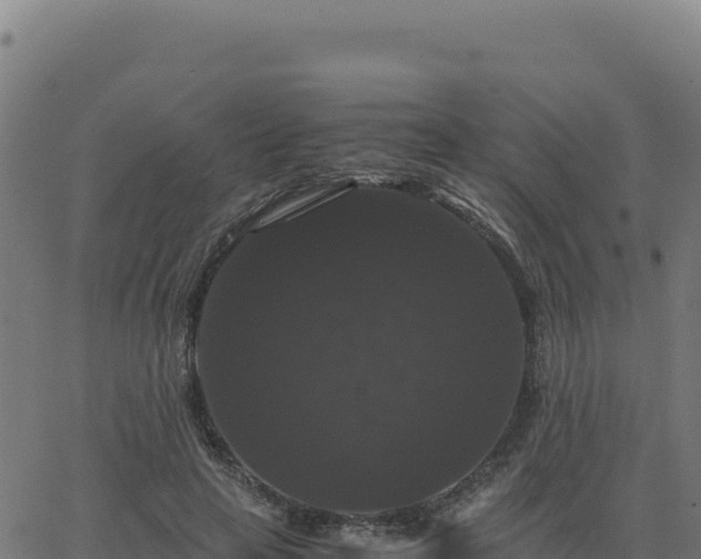 X0000062850641200601201704