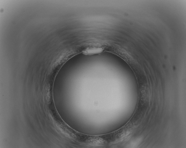 X0000062850642200601201704