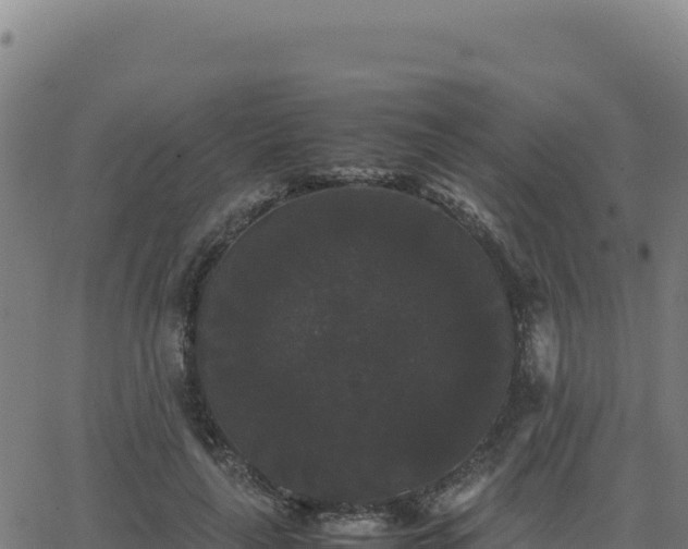 X0000062850643200601201704