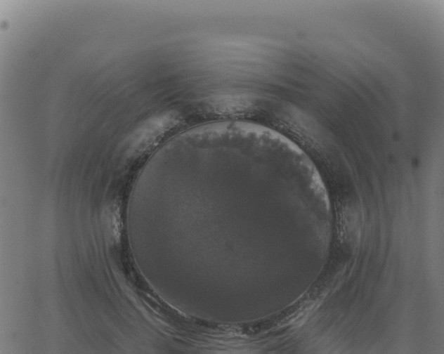 X0000062850644200601201704