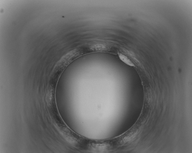 X0000062850645200601201704