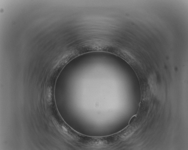 X0000062850646200601201704