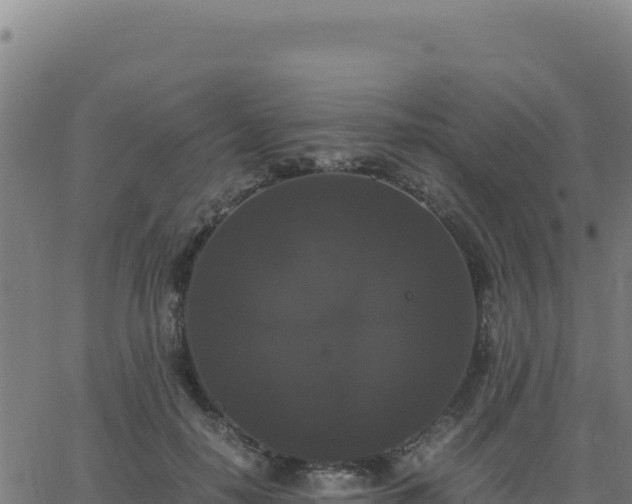 X0000062850650200601201704