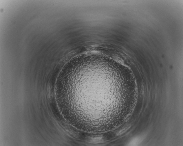 X0000062850651200601201704