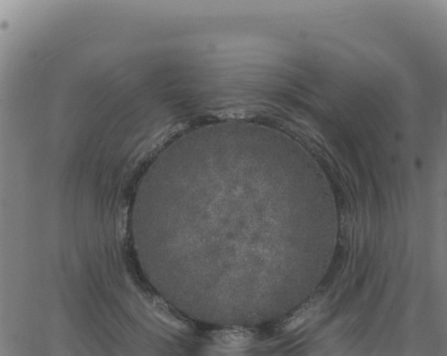 X0000062850652200601201704