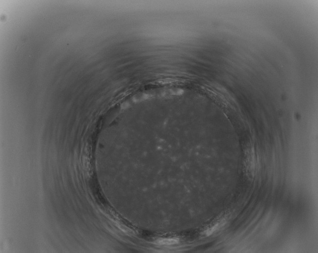 X0000062850653200601201704