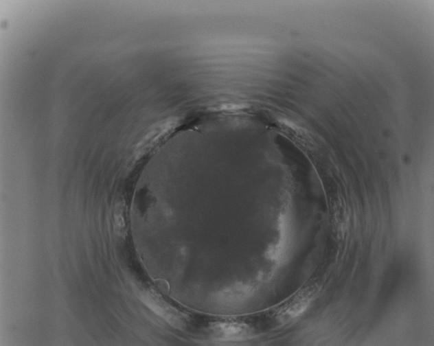 X0000062850654200601201704