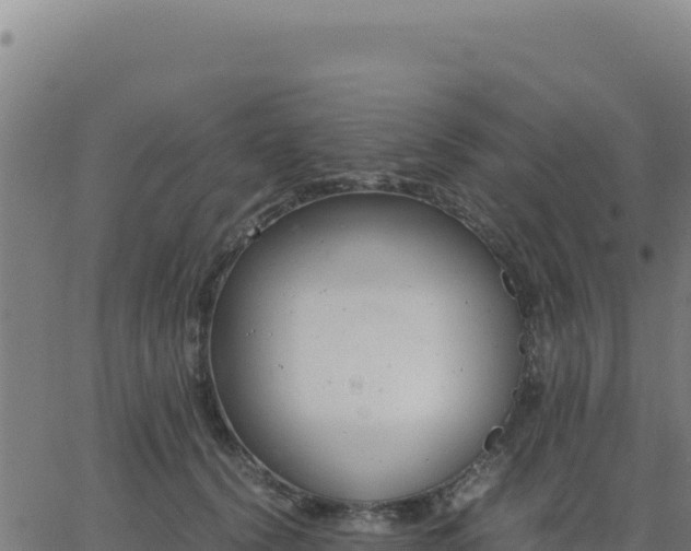 X0000062850656200601201704