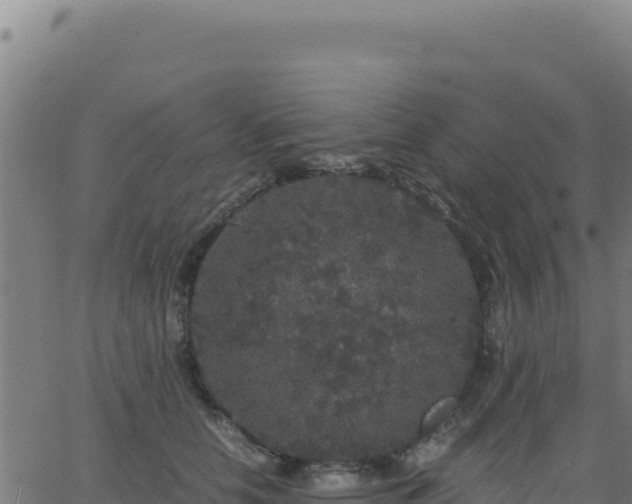 X0000062850658200601201704