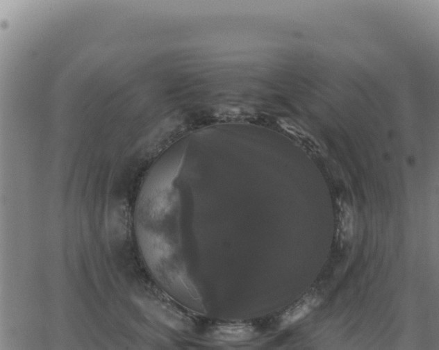 X0000062850659200601201704