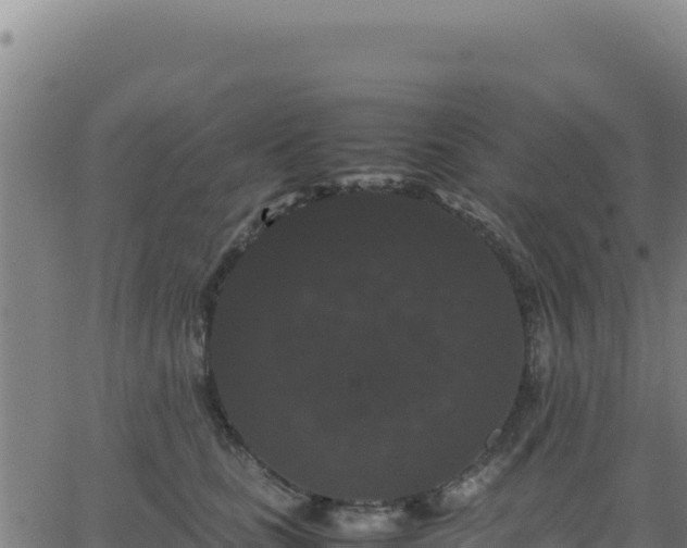 X0000062850661200601201704