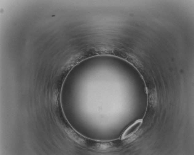 X0000062850662200601201705