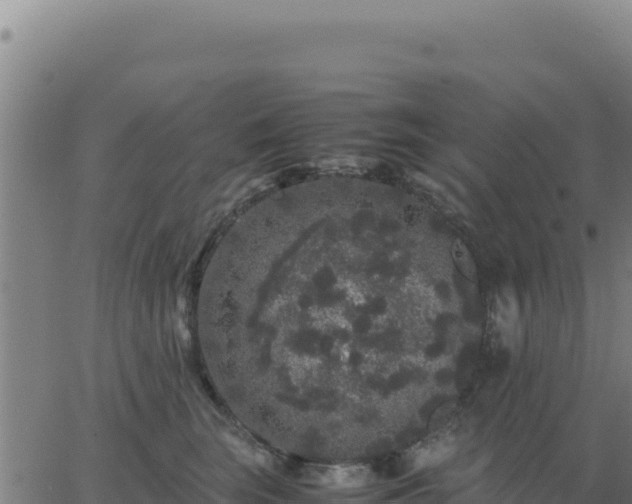 X0000062850663200601201705