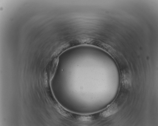 X0000062850664200601201705