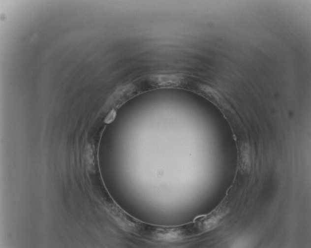 X0000062850667200601201705