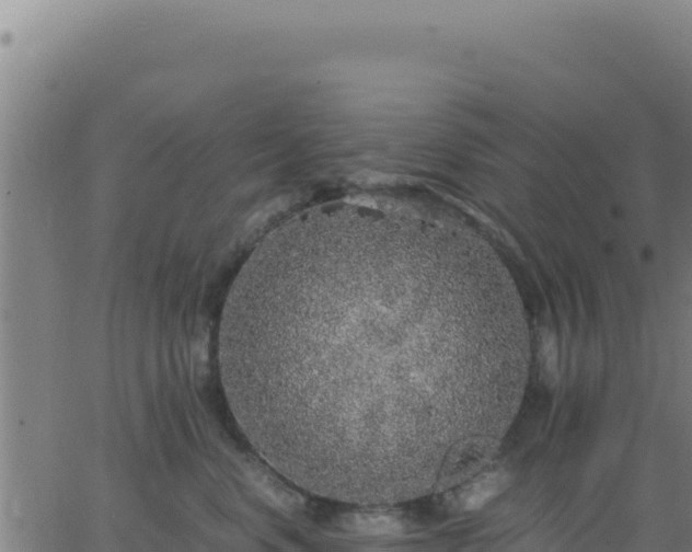 X0000062850668200601201705