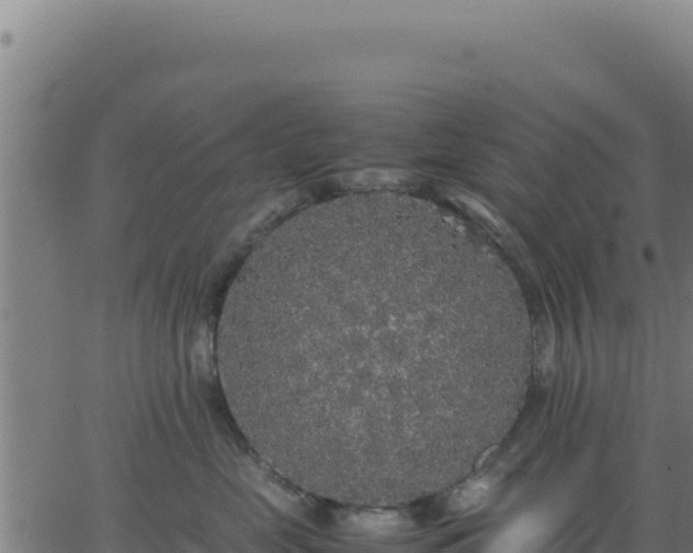 X0000062850669200601201705