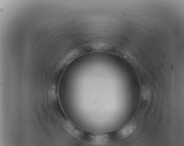 X0000062850670200601201705