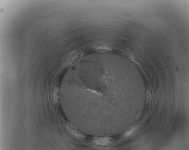 X0000062850671200601201705