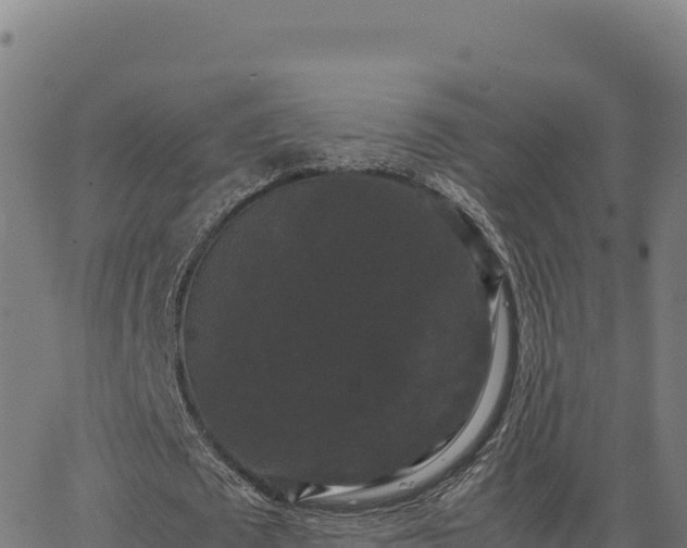 X0000062850673200601201704