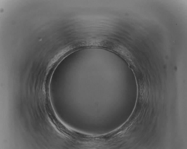 X0000062850674200601201704