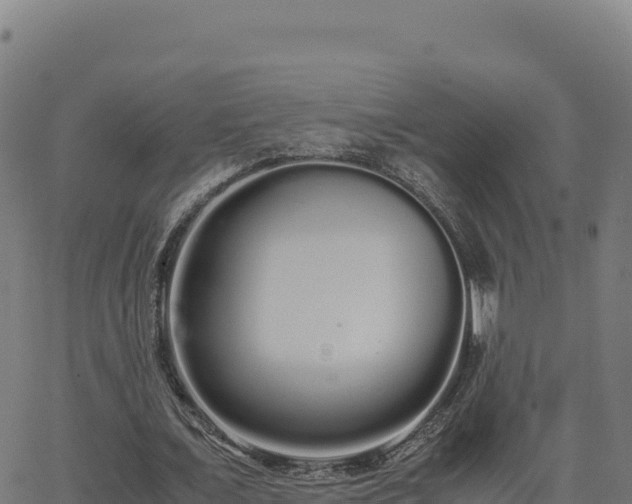 X0000062850675200601201704