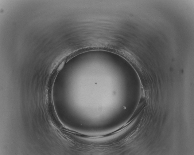 X0000062850676200601201704