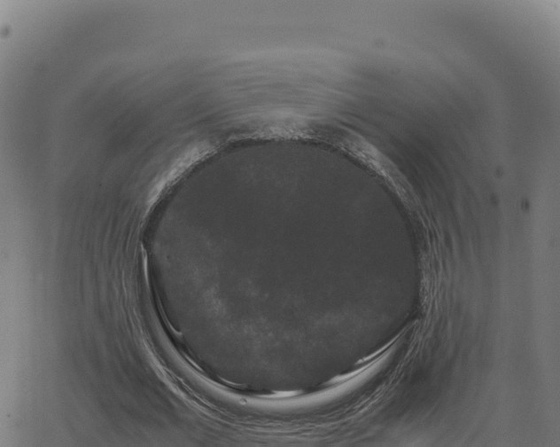 X0000062850677200601201704