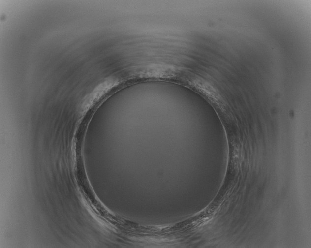 X0000062850678200601201704