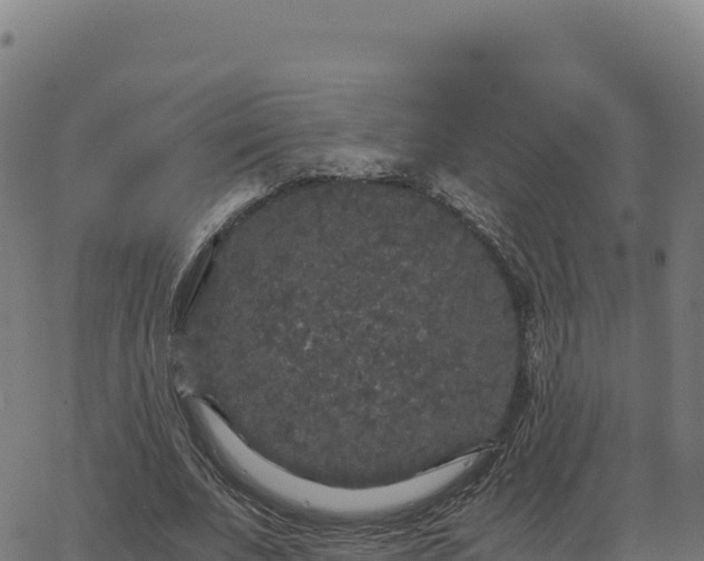 X0000062850679200601201704