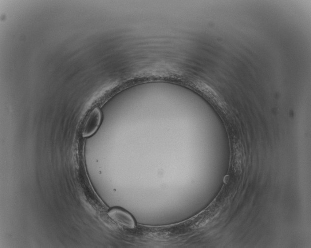 X0000062850680200601201704