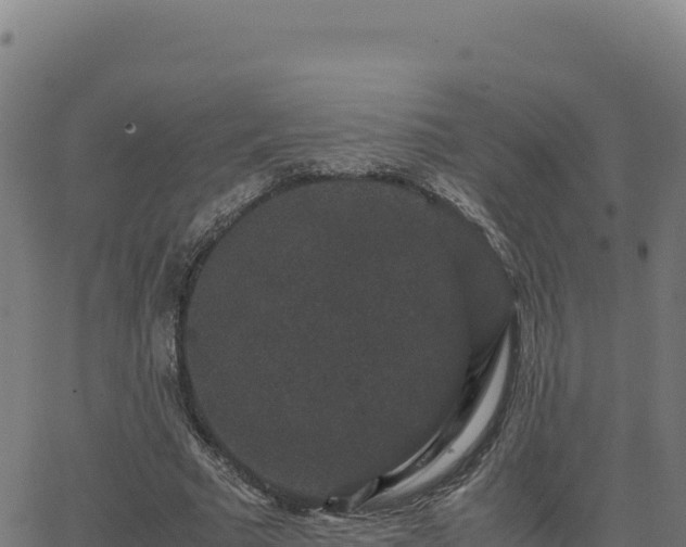 X0000062850681200601201704