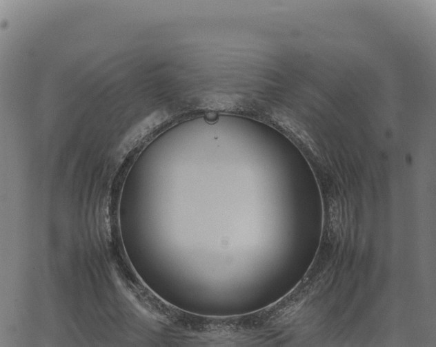 X0000062850682200601201704