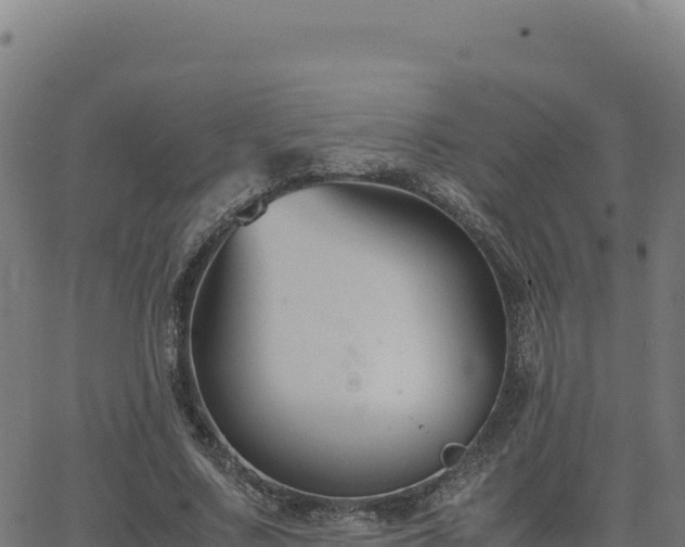 X0000062850683200601201704