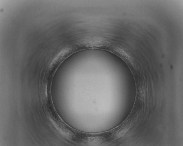 X0000062850686200601201704