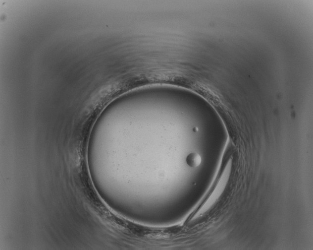 X0000062850687200601201704