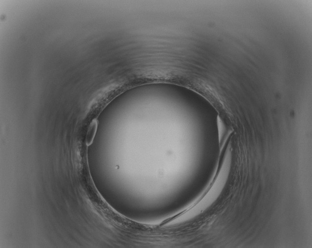 X0000062850688200601201704