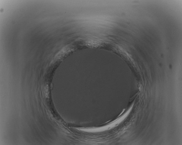 X0000062850689200601201704