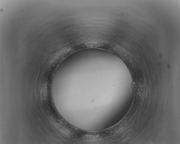 X0000062850690200601201704